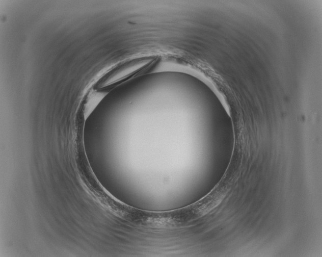 X0000078840440200611271326