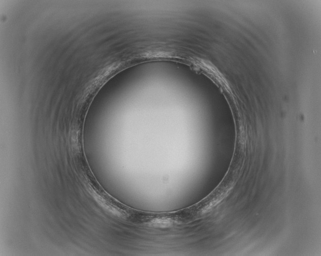 X0000078840441200611271326