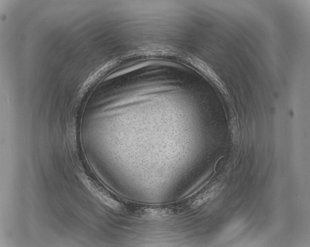 X0000078840442200611271326