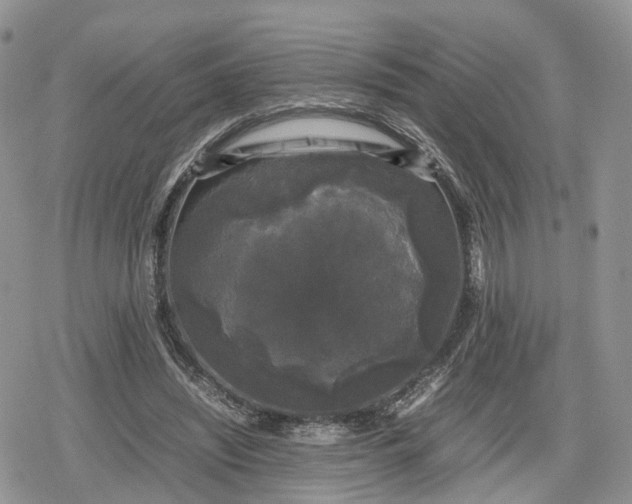 X0000078840444200611271326