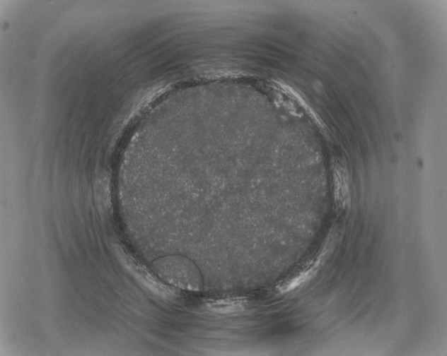 X0000078840447200611271326