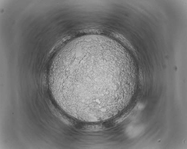 X0000078840449200611271326