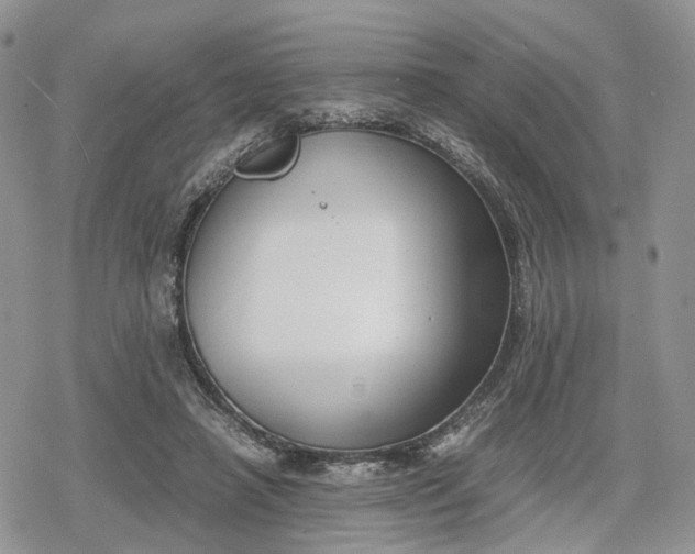 X0000078840450200611271326