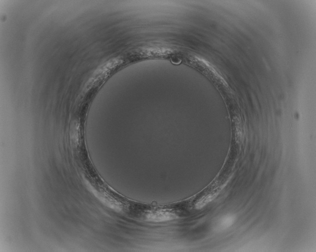 X0000078840451200611271326