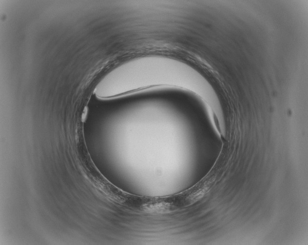 X0000078840452200611271326