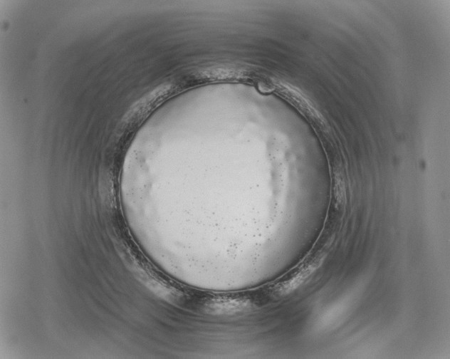 X0000078840453200611271326