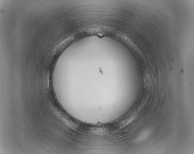 X0000078840454200611271326