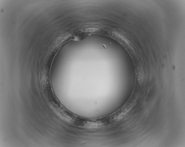 X0000078840455200611271326