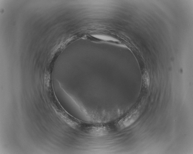 X0000078840458200611271326