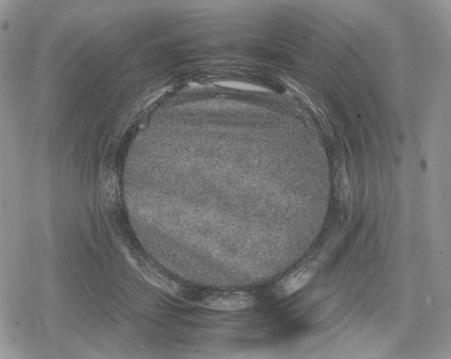 X0000078840459200611271326