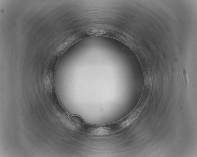 X0000078840460200611271326