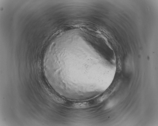 X0000078840461200611271326