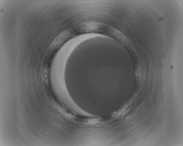 X0000078840462200611271326