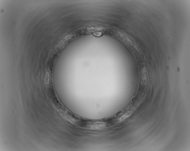 X0000078840463200611271326