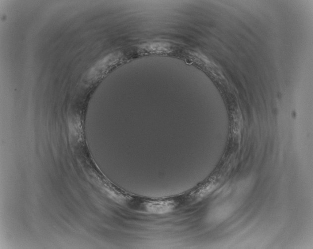 X0000078840465200611271326