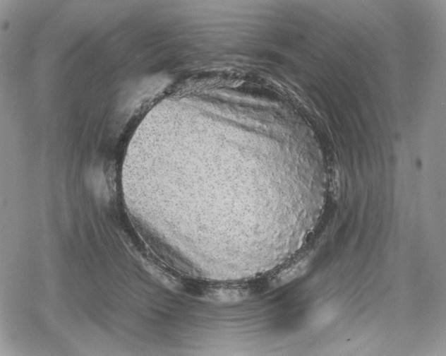 X0000078840466200611271326