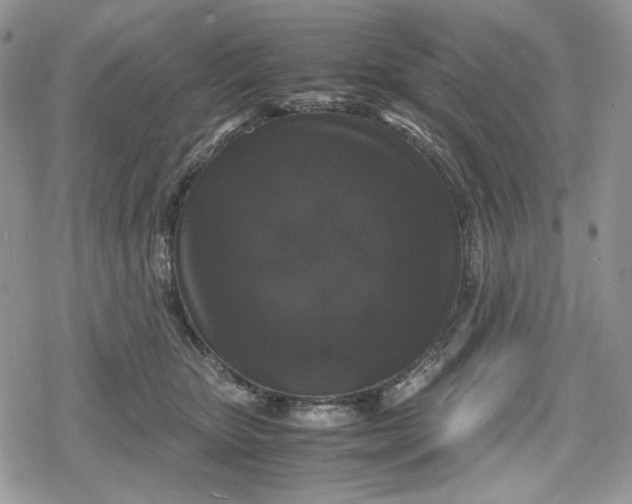 X0000078840467200611271326