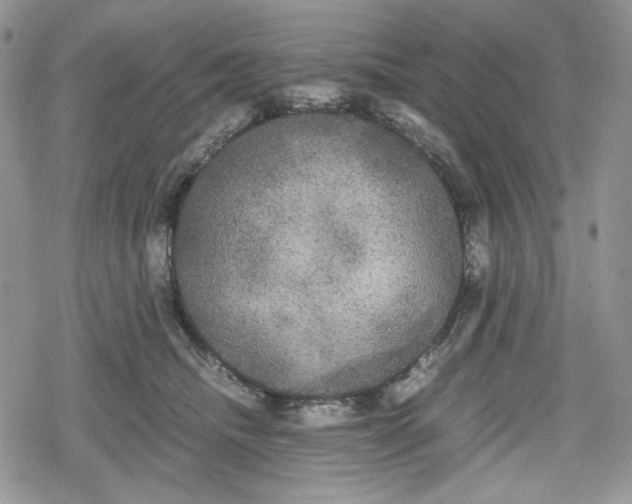 X0000078840468200611271326