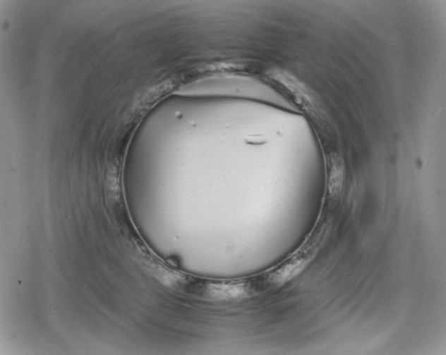 X0000078840469200611271326