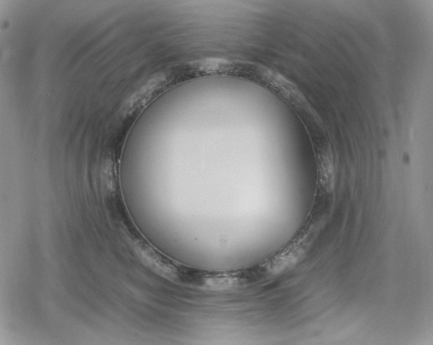 X0000078840470200611271326