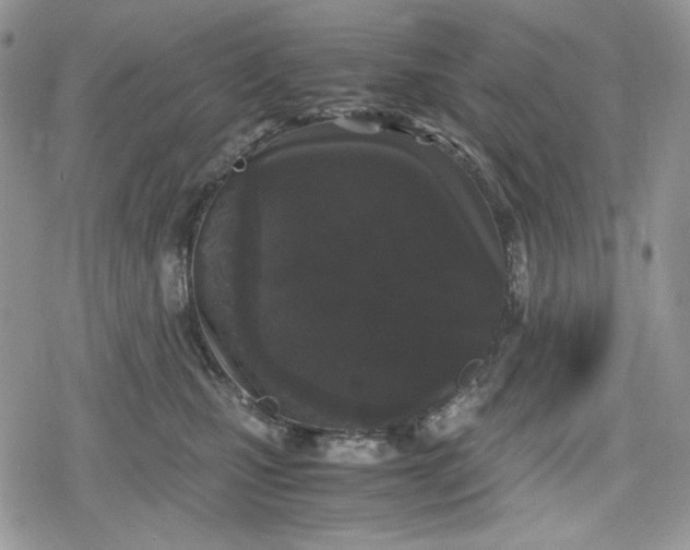 X0000078840471200611271326