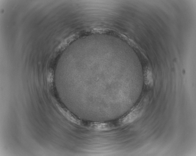 X0000078840472200611271326