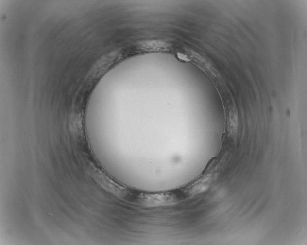 X0000078840473200611271326