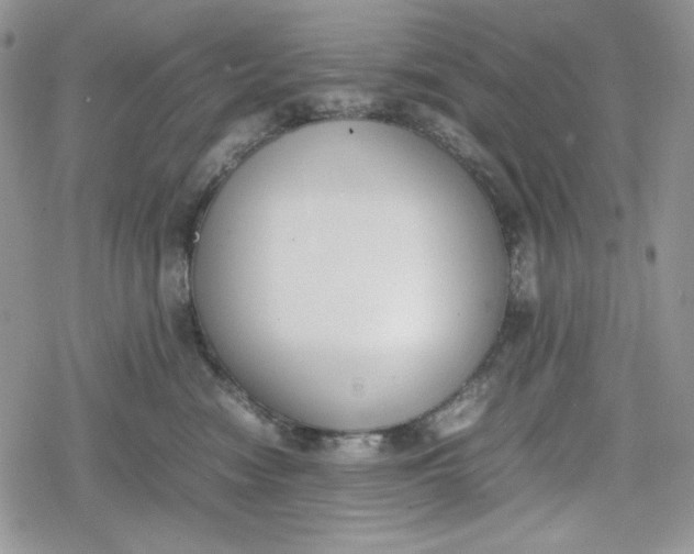 X0000078840474200611271326