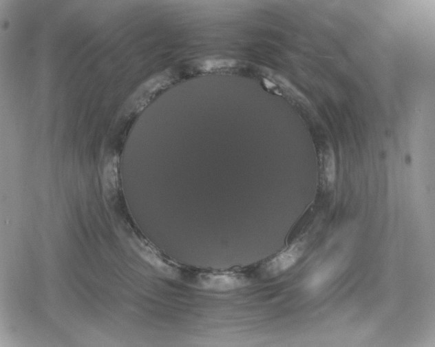 X0000078840475200611271326