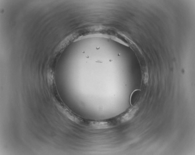 X0000078840476200611271326