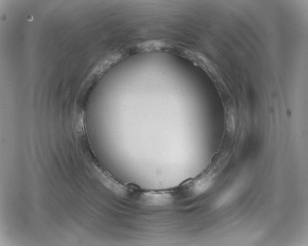 X0000078840477200611271326