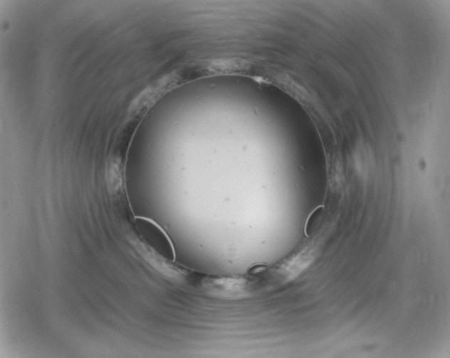 X0000078840478200611271326