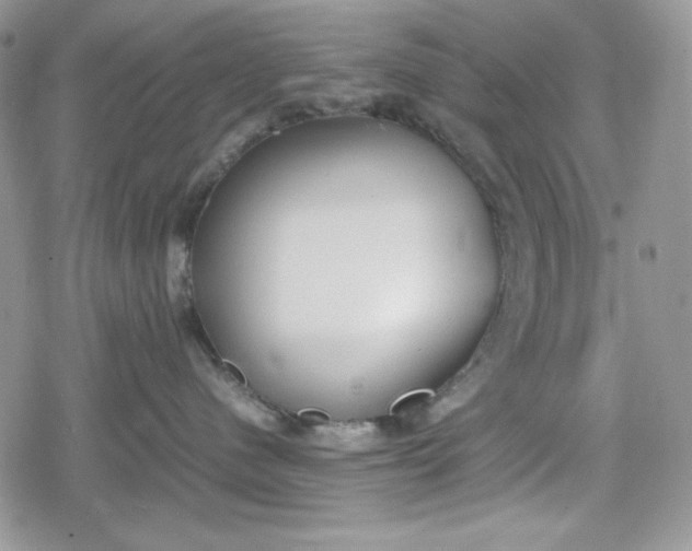 X0000078840480200611271326