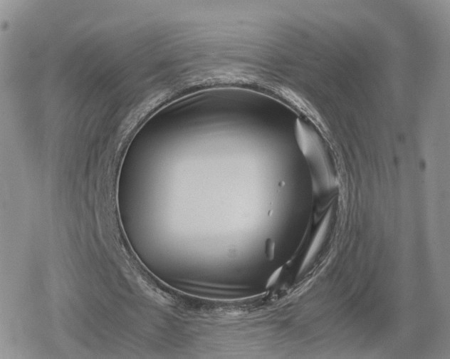 X0000078840481200611271326