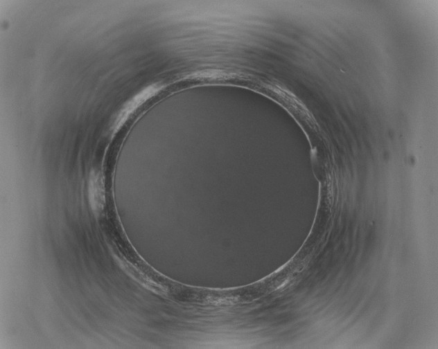 X0000078840484200611271326