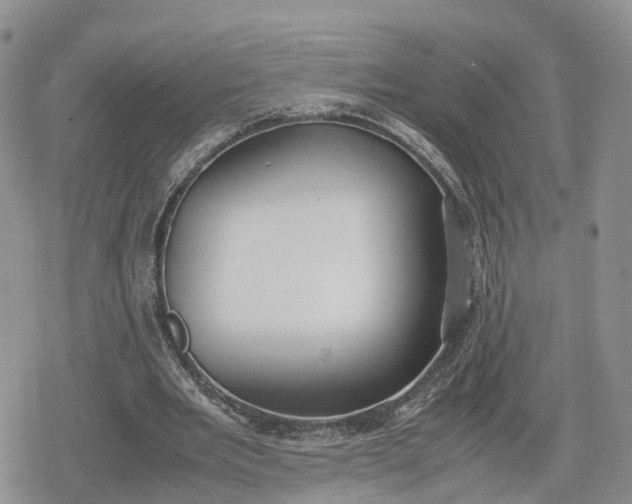 X0000078840485200611271326