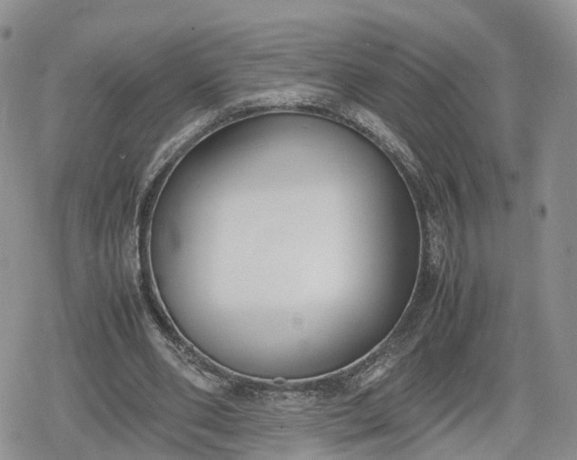 X0000078840486200611271326