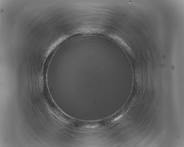 X0000078840488200611271326