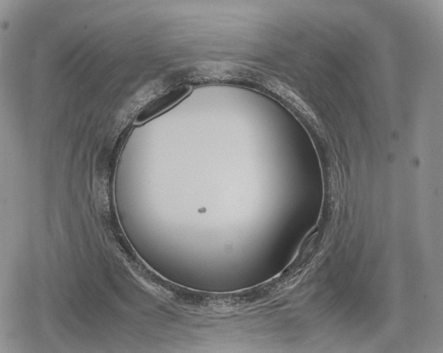 X0000078840489200611271326