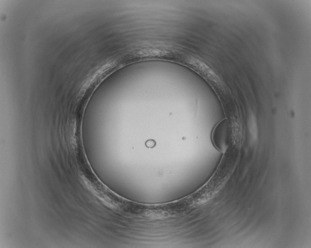 X0000078840490200611271326