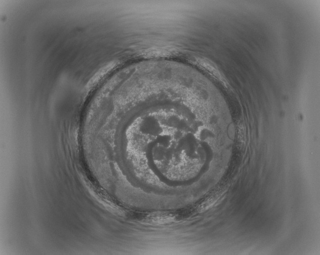 X0000078840491200611271326