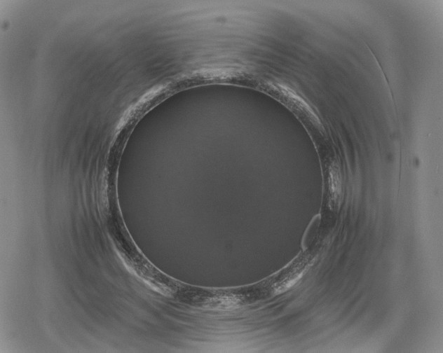 X0000078840492200611271325