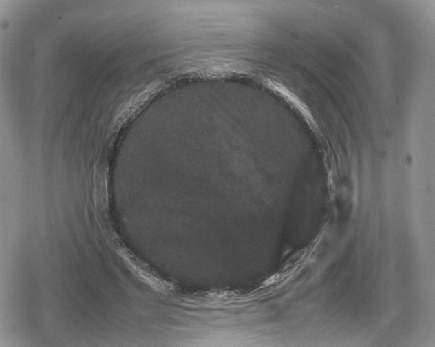 X0000078840493200611271325