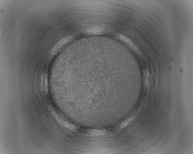 X0000078840494200611271325