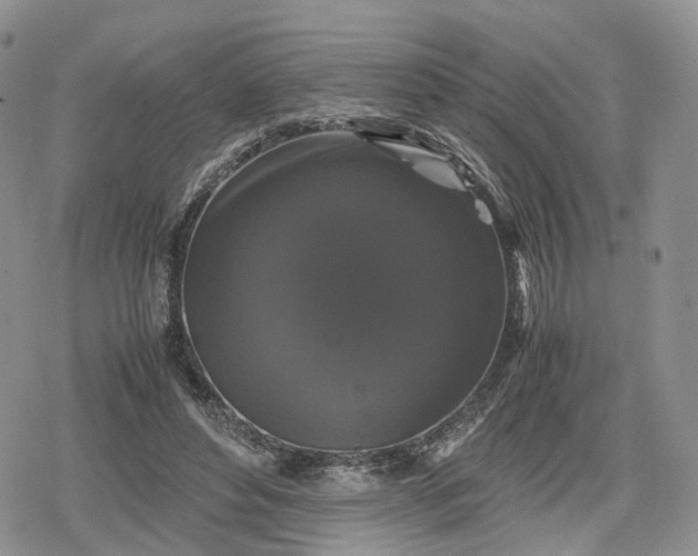 X0000078840496200611271325