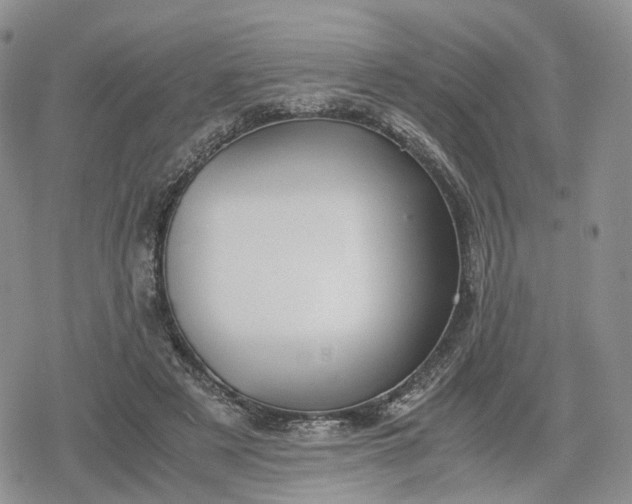 X0000078840497200611271325