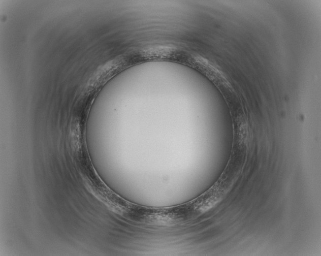 X0000078840498200611271325