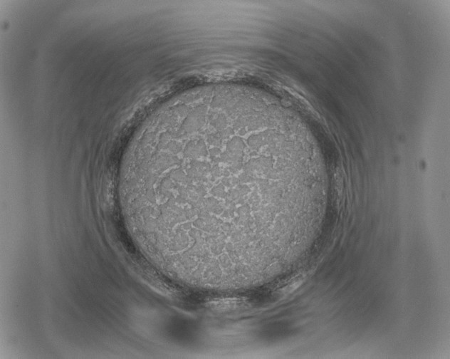 X0000078840499200611271325