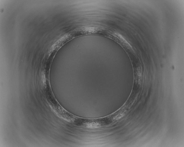 X0000078840500200611271325