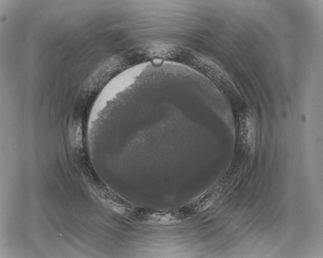 X0000078840502200611271325